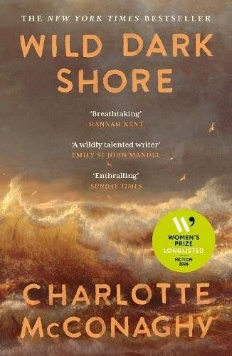 Wild Dark Shore